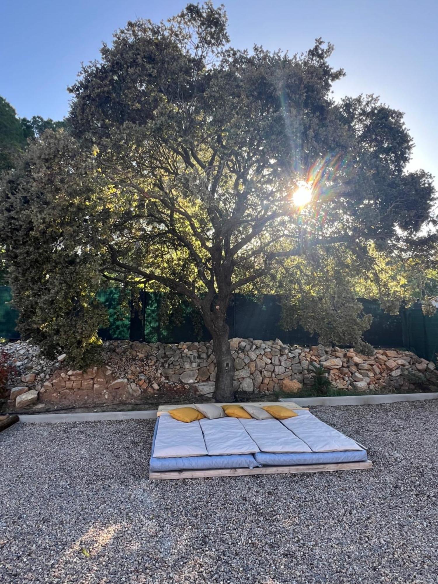 La Provence Piscine Privee, Petanque Et Barbecue Villa Les Arcs-sur-Argens ภายนอก รูปภาพ